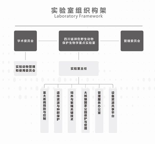 实验室组织架构