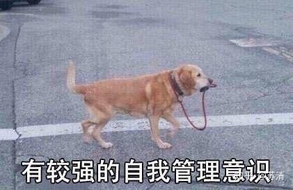 那个在公车上暴打小孩的人真的没用力吗?