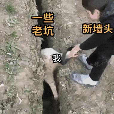 奇奇怪怪的梗图