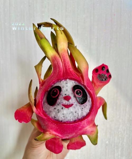 当冰墩墩吃了火龙果