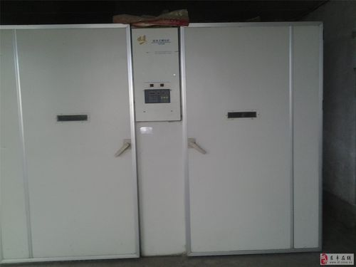 出售依爱19200孵化器12台