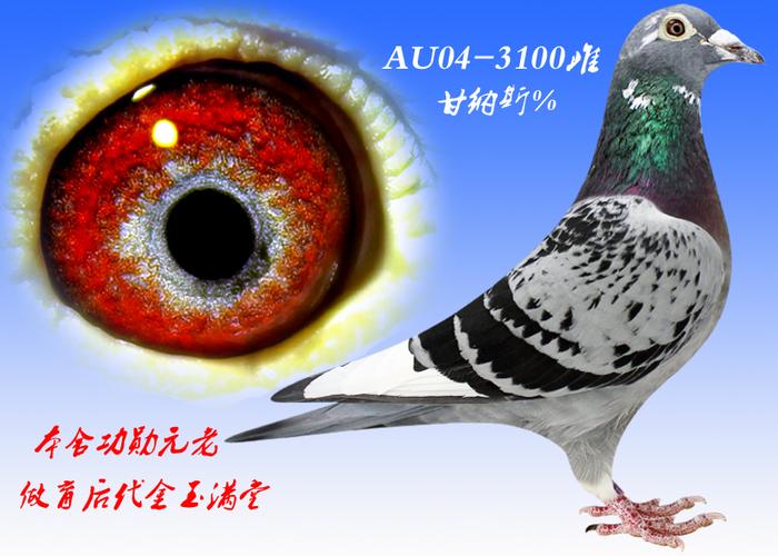 甘纳斯