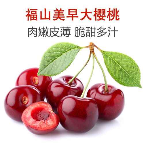 【现货】烟台美早大樱桃 5斤(全国包邮)