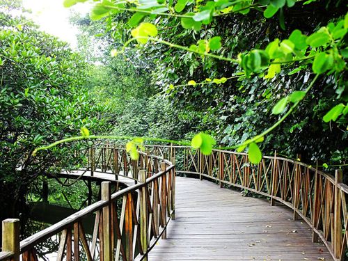 国庆长假闲游海南文昌八门湾绿道