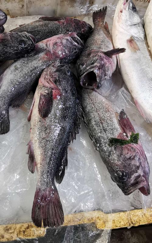 石岛凤凰湖农贸市场