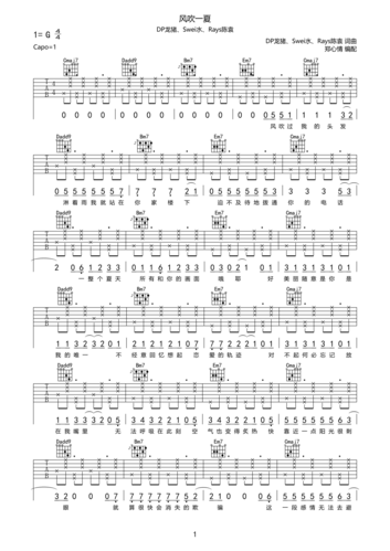 dp龙猪&swei水&rays&陈袁《风吹一夏》吉他谱六线谱g调
