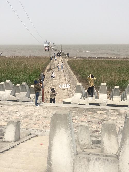 横沙岛一日骑行_骑车_自行车_风景_摄影_卡丁车_出行