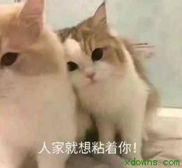 跟你的游戏过吧臭男人qq微信表情包