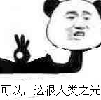 可以这很人类之光表情包