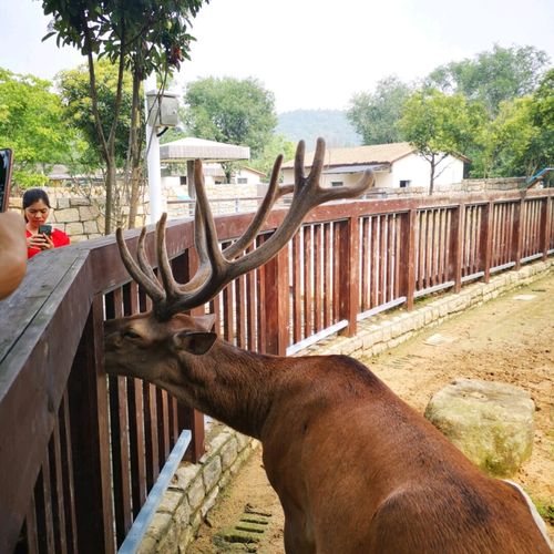 带孩子游玩苏州动物园_动物园_游玩_动物园里的他们_出行_去处_主题
