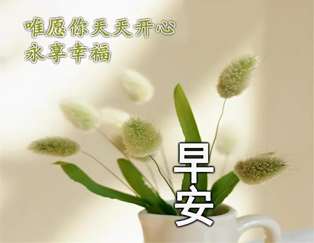 早安温馨祝福词句,我祝福你能拥有一份美丽好心情!