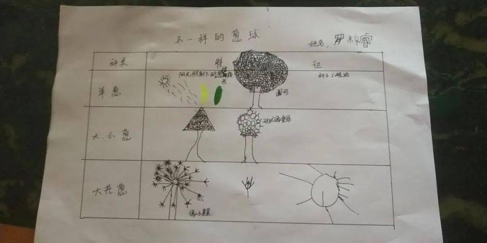 于是大家一起设计了一张简单的表格,把这些进行了一个总和,有效的记录