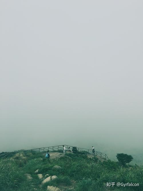 前方是雾,雾里是海