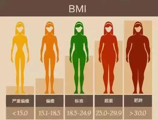 bmi指数和体型的关系与肌肉与脂肪比例有关,这就是有人bmi在18.