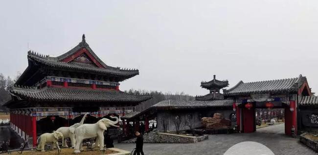 牡丹江曹波什么背景 竟敢毁林违建曹园