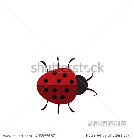 beautiful red ladybird
