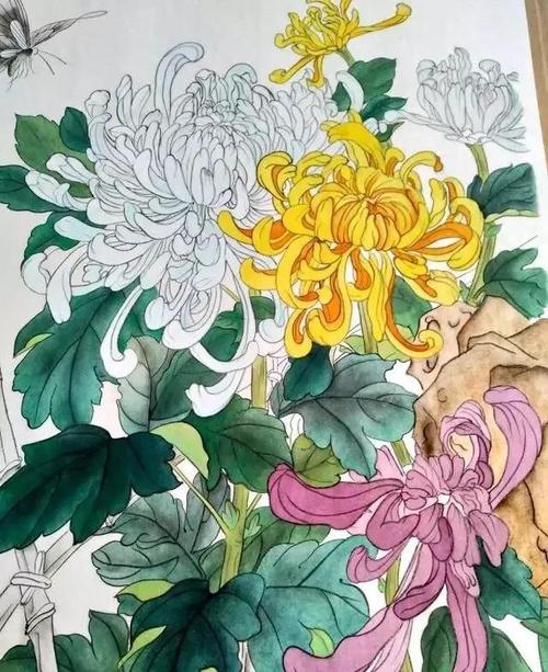 菊花蓝蝶的工笔花鸟作品,附图文教程(喜欢就收藏起来