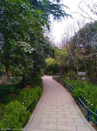 美丽的公园风景