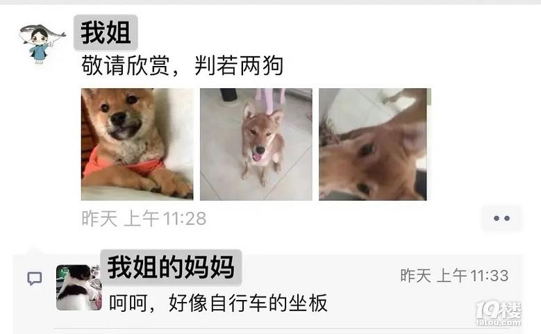 笑死了