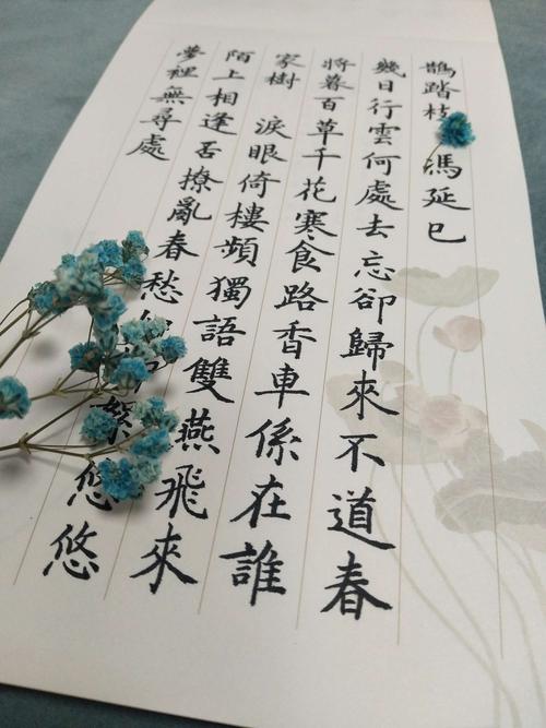 让心在书写中变得纯粹