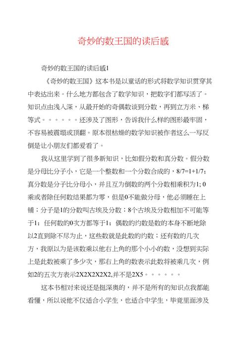 奇妙的数王国的读后感