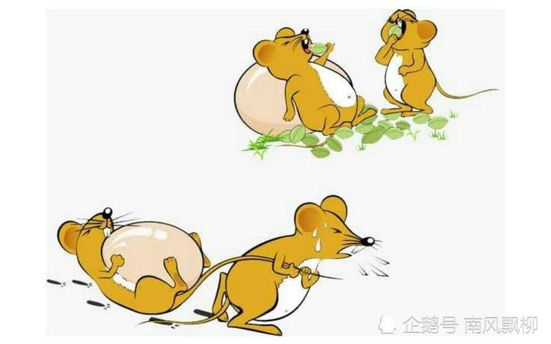 老鼠嫁女,两只老鼠,老鼠爱大米