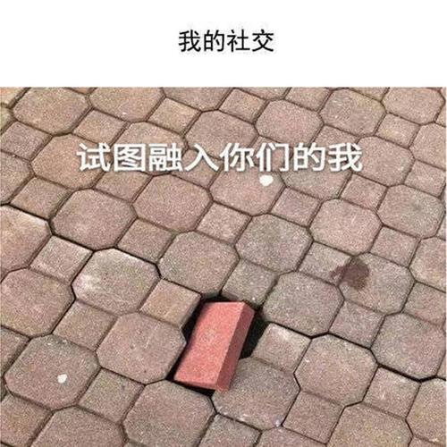 我的社交,试图融入你们的我