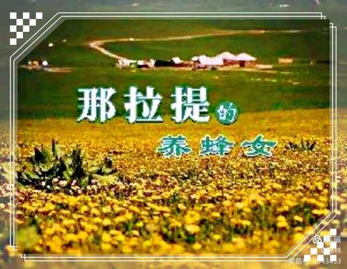 那拉提的养蜂女