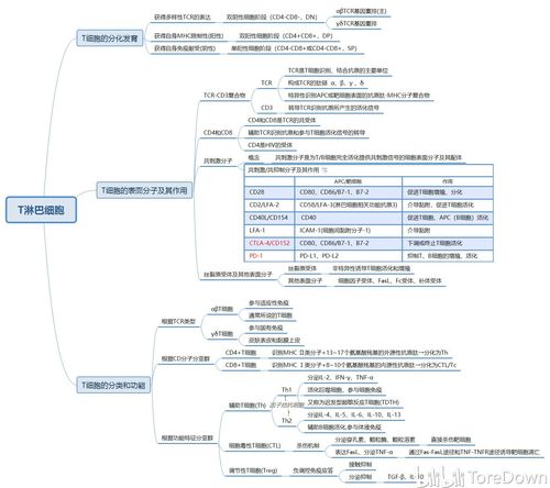 医学免疫学(上篇) 思维导图