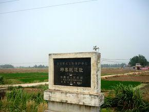 寿春城遗址景点照片