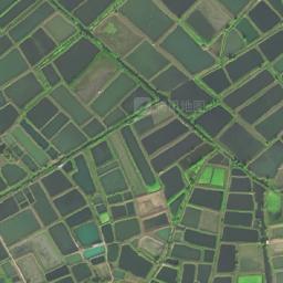 东风农场管理区卫星地图 - 湖北省黄石市大冶市东风农场管理区地图
