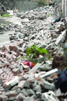 芦山地震是汶川地震余震(组图)