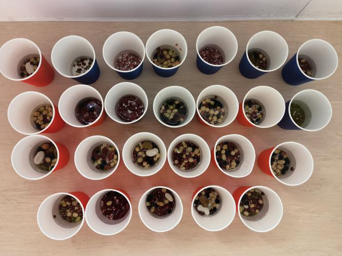 "浓情腊八节,体验美味腊八粥制作"——市北幼儿园中班腊八节美篇