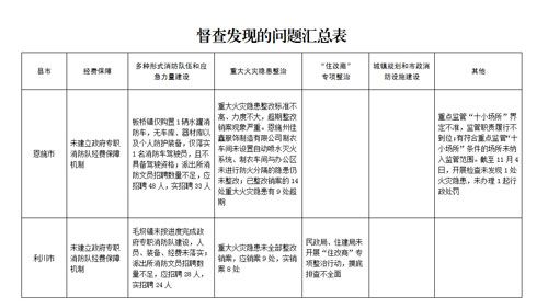 督查发现的问题汇总表