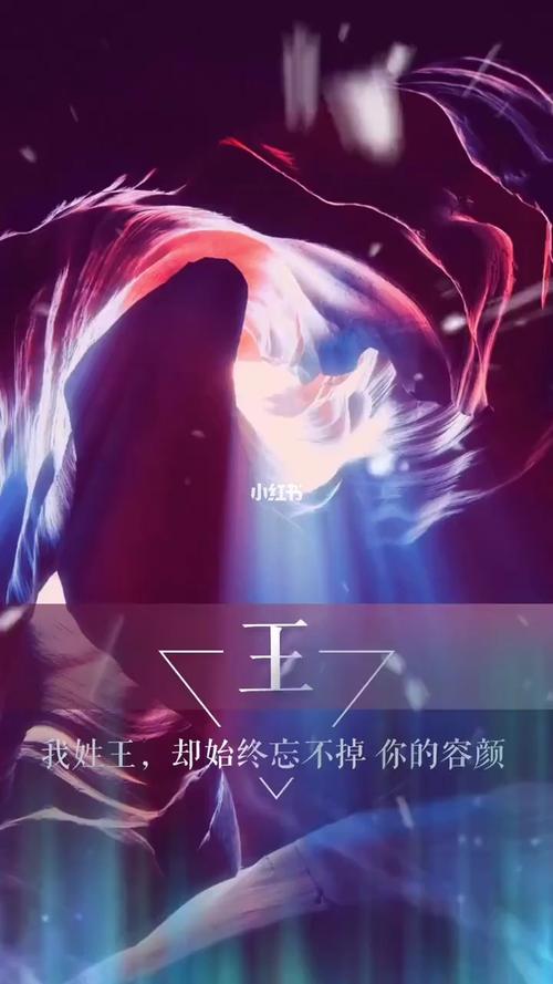 我姓王,却忘不了你!