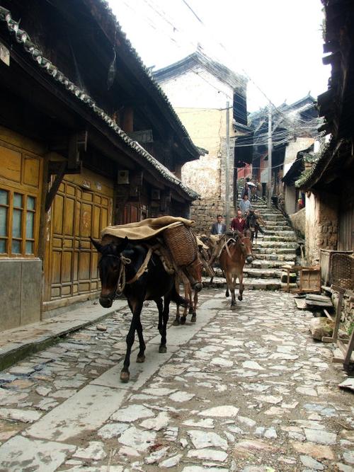 p>鲁史古镇是云南西部茶马古道第一镇,是中国最神秘的三大古镇之一