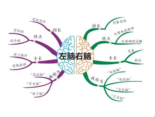 思维导图及软件介绍