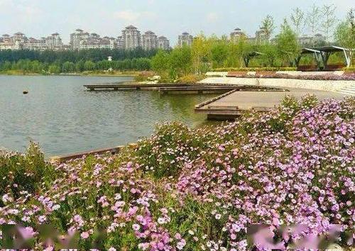 71万平方米的马家湾湿地公园逐步建起来.