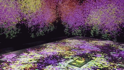 花舞印象 | 冬季上新 全新体验