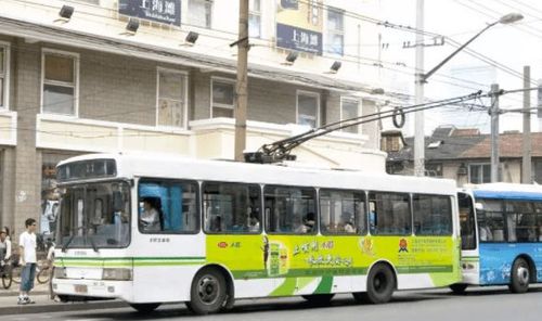 一波动物公交车已投入运营,上海这条公交线火了【有奖问答第十二期】