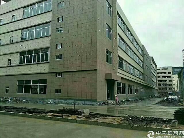 东莞石排10000平米以上简易厂房出租 - 中工招商网