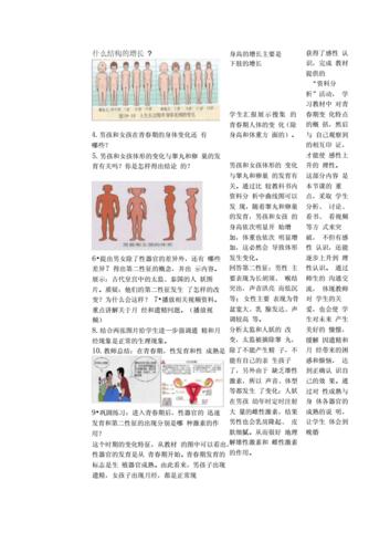 七年级生物下册第二节青春期发育1第一课时docx7页