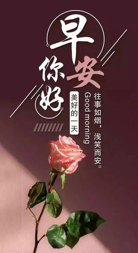 新的一天开始精美励志语句 早安最美的心情语录