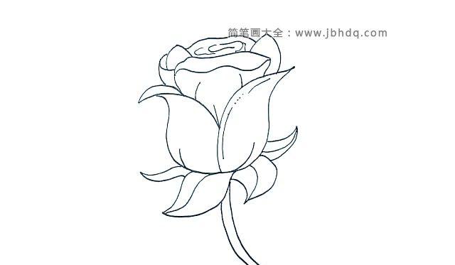 画玫瑰花简笔画的详细步骤_植物简笔画_简笔画大全