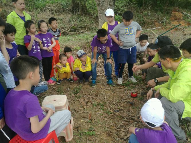 今天上山开了一条适合小学生户外活动的登山线路出来