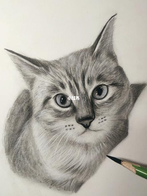今天教大家画一只小猫咪_猫咪_素描_文化_绘画
