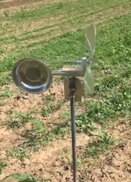 智慧这块农名伯伯就没输过谁,自制惊悚版驱鸟神器,鸟没吓到,人先吓晕