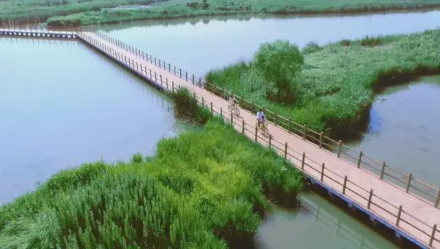 湿地公园还被认定为省级生态旅游示范区,获得了"浙江十大zui美湿地"和