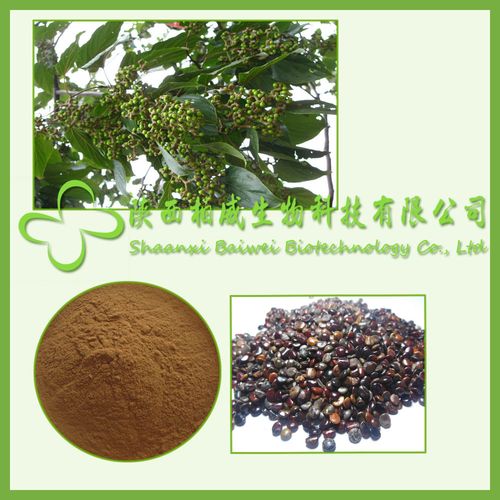 枳椇子提取物 枳椇子粉 比例提取浓缩 可定制规格 现货量大优惠