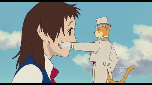 每个少女心中的男爵(猫的报恩)影评